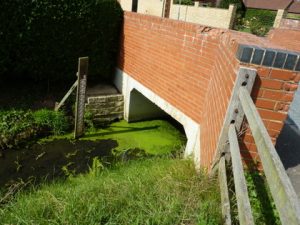 The Car Dyke Dyke History